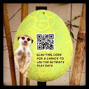 Image post by @sandiegozoo on Instagram