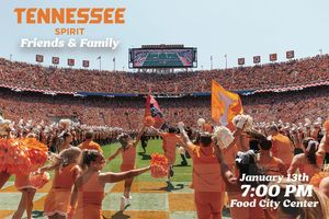 Image post by @vol_cheer on Instagram