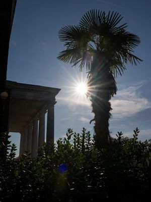Image post by @ccuchanticleers on Instagram