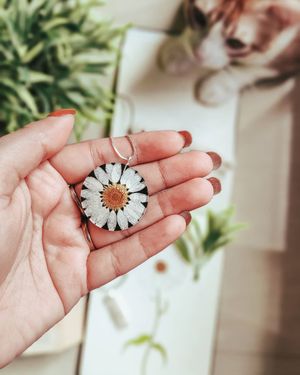Image post by @leafyaffair on Instagram