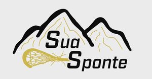 Image post by @suaspontelacrossecamp on Instagram