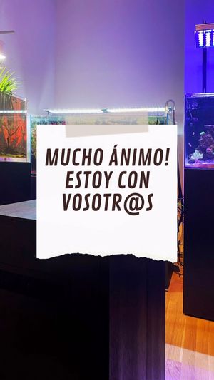 Video post by @aqualupi on Instagram