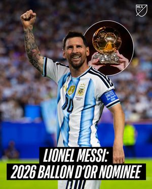 Image post by @mls on TikTok
