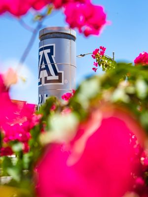 Image post by @arizonawbb on Instagram