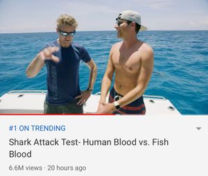 Image post by @MarkRober on Twitter