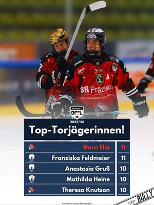 Image post by @bullydereishockeypodcast on Instagram