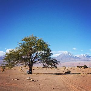 Image post by @kirstenalana on Instagram