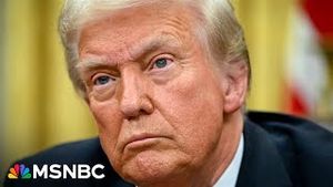 Video post by @msnbc on YouTube