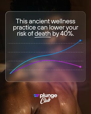 Image post by @plunge on Instagram