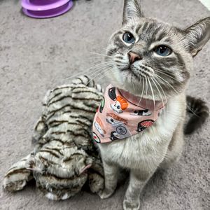 Image post by @originalsnugglepuppy on Instagram