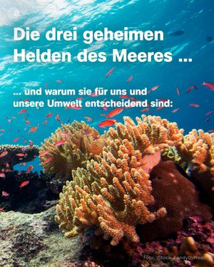 Image post by @zdf.de on Instagram