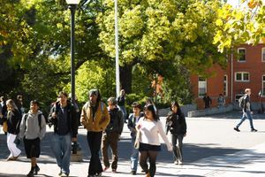 Image post by @wsupullman on Instagram