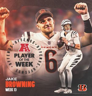 Image post by @bengals on Instagram