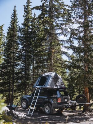Image post by @dobinsonsusa on Instagram