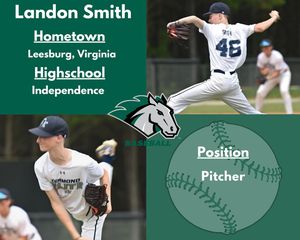 Image post by @stevensonbsb on Instagram