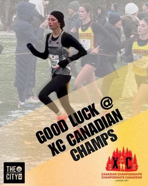 Image post by @bordercity_ac on Instagram