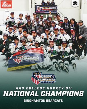 Image post by @hockeyhousepod on Twitter