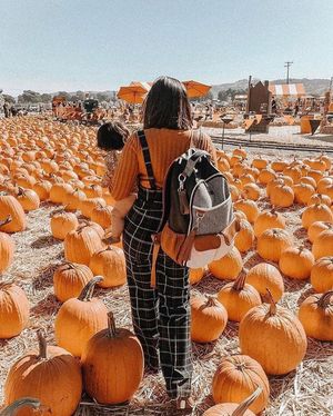 Image post by @itzyritzy on Instagram