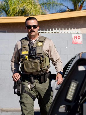 Image post by @temlasd on Instagram