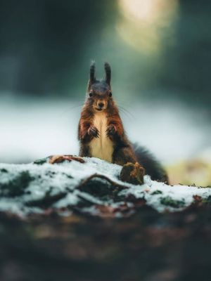 Image post by @sony.deutschland.at on Instagram