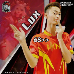 Image post by @luxgaming.ml on TikTok