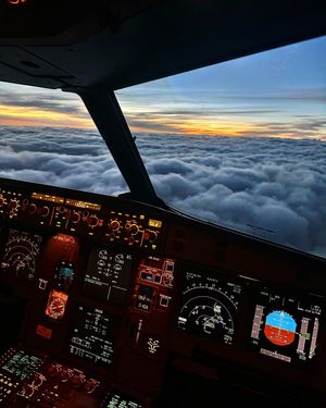Image post by @faelbellini on Instagram