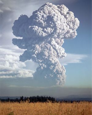Image post by @theoregonian on Instagram