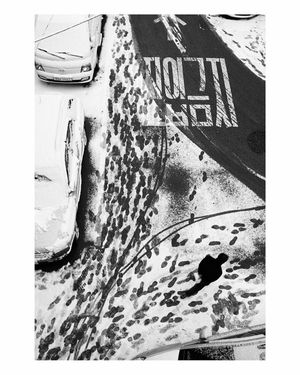 Image post by @leica_camera on Instagram