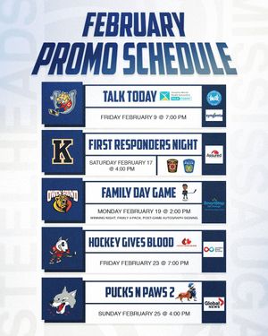 Image post by @OHLSteelheads on Twitter