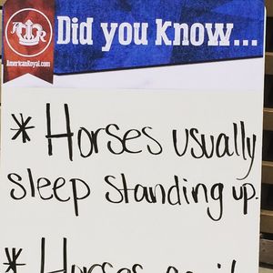 Image post by @american_royal on Instagram
