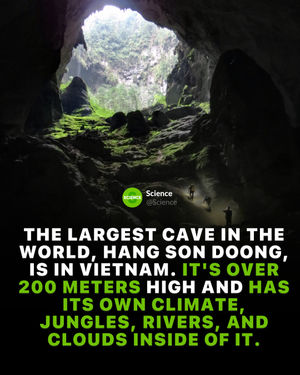 Image post by @science on Instagram