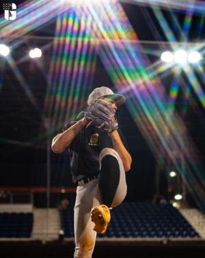 Image post by @pdgabaseball on Instagram
