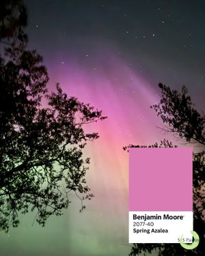 Image post by @sspaintllc on Instagram