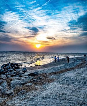 Image post by @southcarolina on Instagram