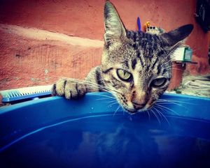 Image post by @gokhantnr on Instagram