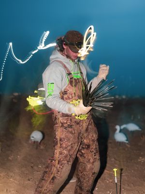 Image post by @gavin.fernholz on Instagram