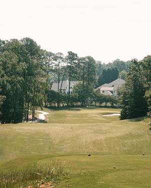 Image post by @wildwoodgreengc on Instagram