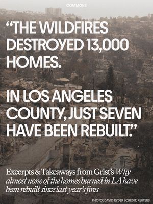 Image post by @commonsearth on Instagram