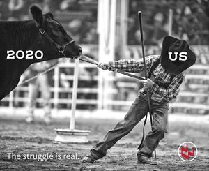 Image post by @nationalwestern on Instagram