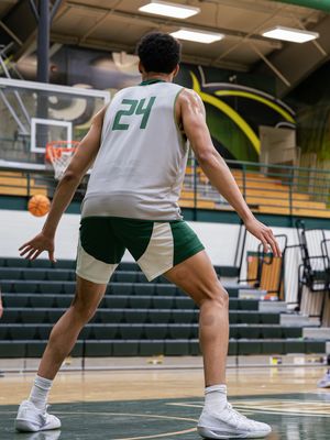 Image post by @tiffinuhoops on Instagram