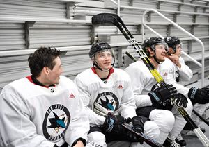 Image post by @sanjosesharks on Instagram