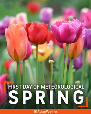 Image post by @accuweather on Twitter