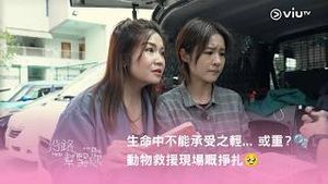 Video post by @viutv on YouTube