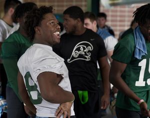 Image post by @greenwavefb on Instagram