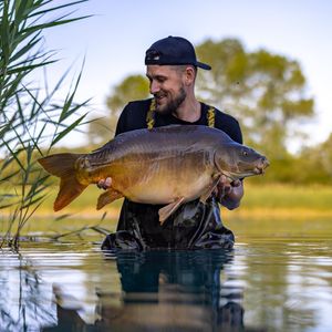 Image post by @brothercarp on Instagram