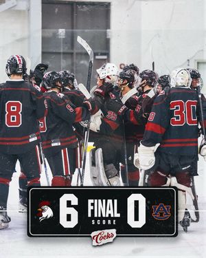 Image post by @cockhockey on Instagram