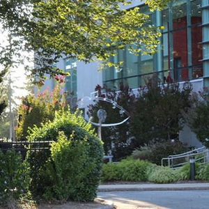 Image post by @hofstrau on Instagram