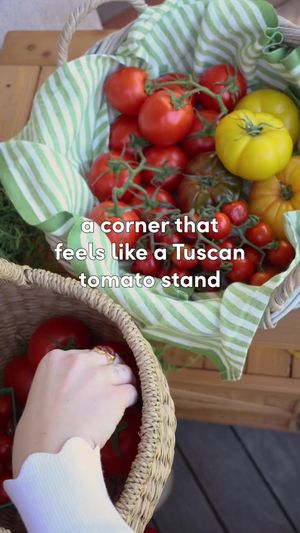 Video post by @wayfair on TikTok