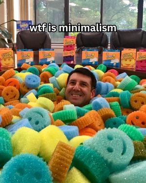 Image post by @scrubdaddy on Instagram