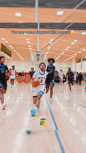 Video post by @theloganholland on TikTok